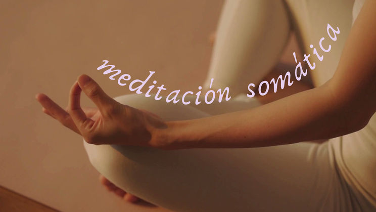 Meditación Somática